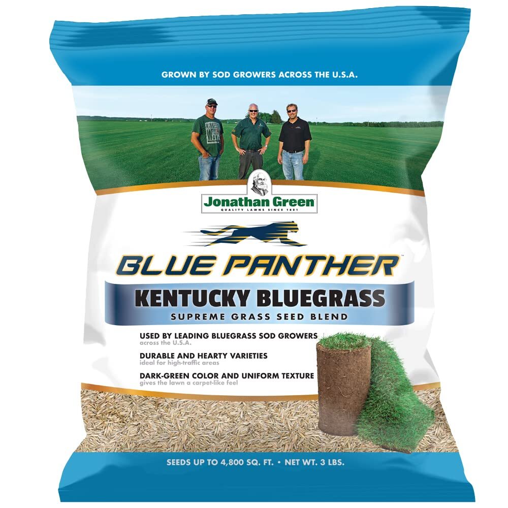 3 lb Kentucky Bluegrass Grass Seed Dark Green Lawn New Yard Overseeding