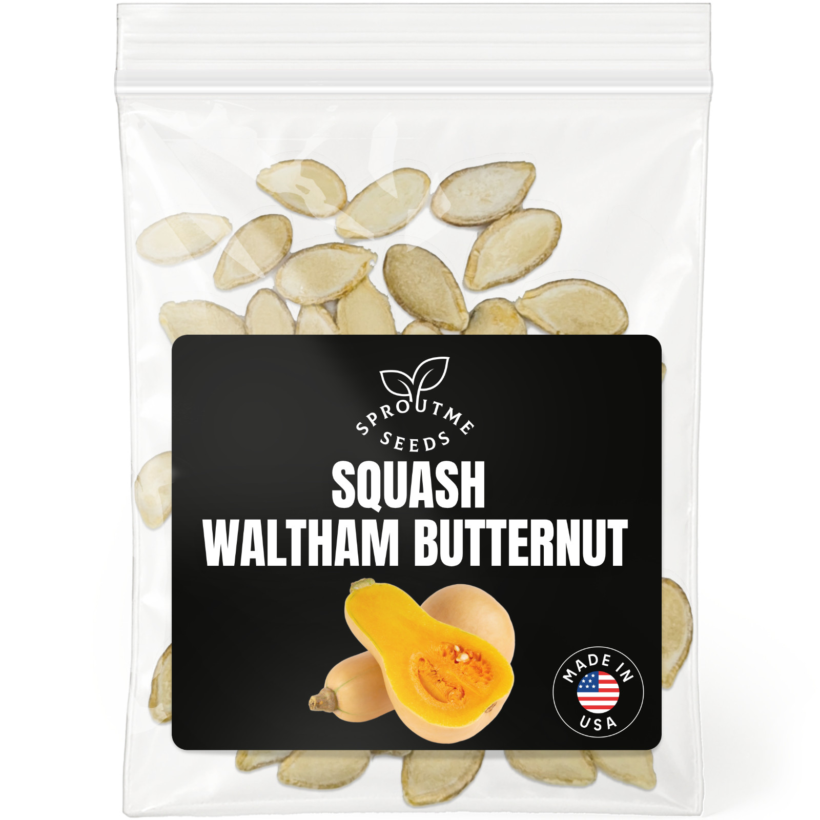Butternut Squash Seeds 50+, Heirloom Non-GMO, Sweet Winter Squash