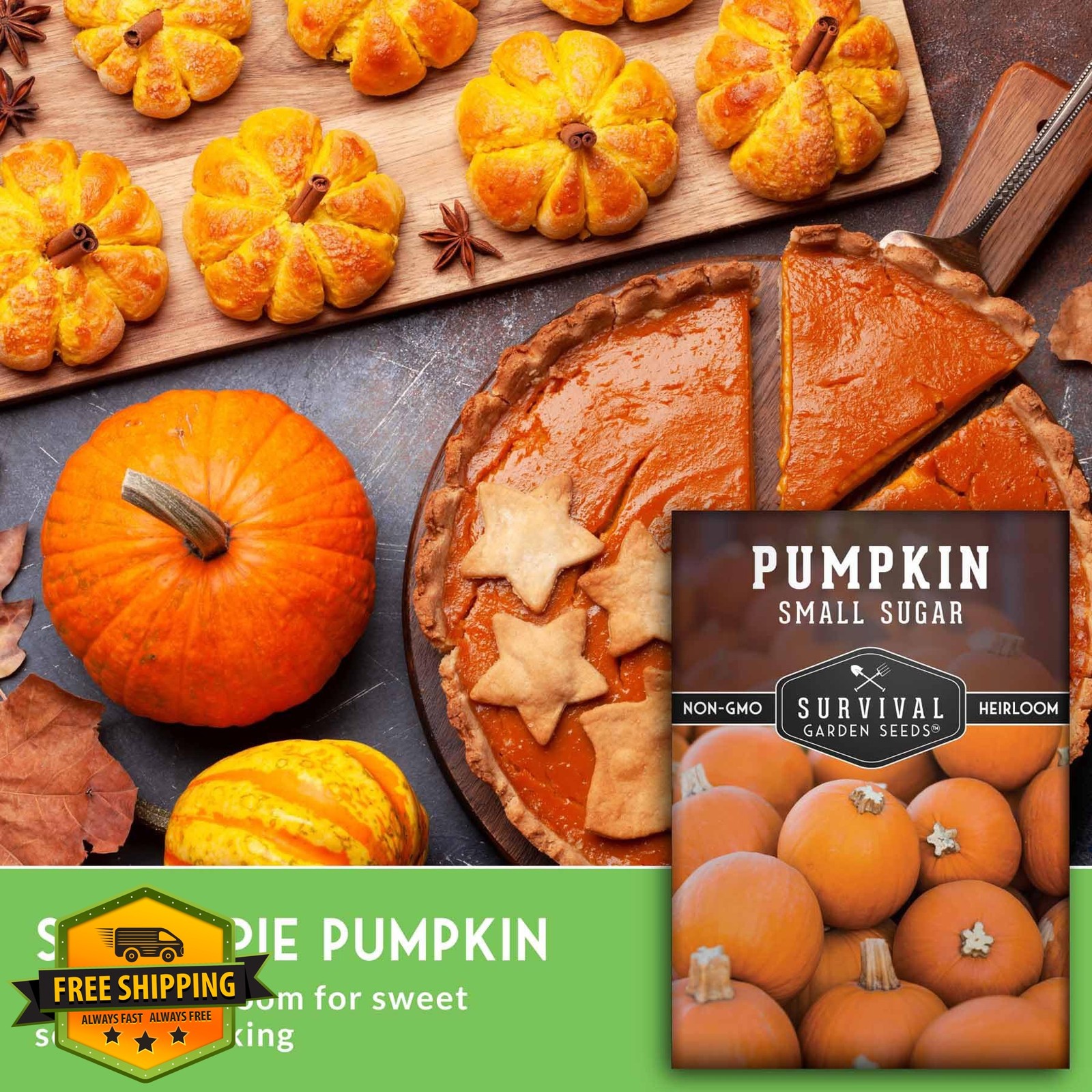 Small Sugar Pumpkin Seeds for Planting – Heirloom Sugar Pie Pumpkins, Sweet B…