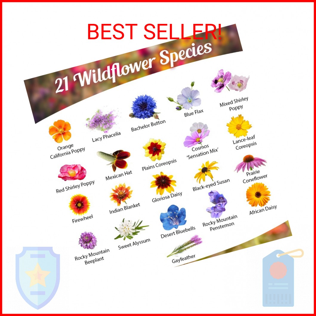Drought Resistant Wildflower Seeds – 1oz, Open-Pollinated Bulk Flower Seed Mix f