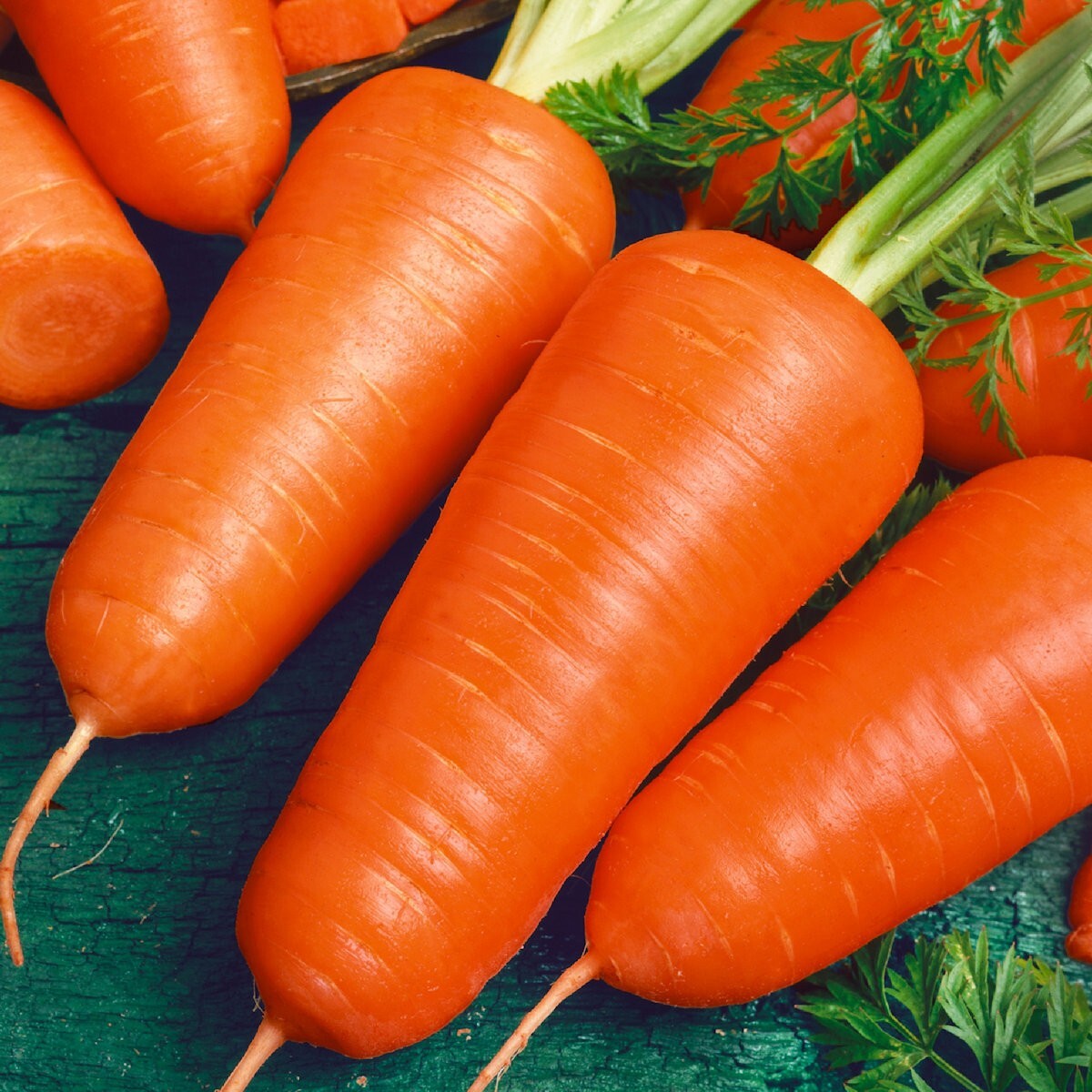 1 Oz Chantenay Red Cored Carrot Seeds – Everwilde Farms Mylar Seed Packet