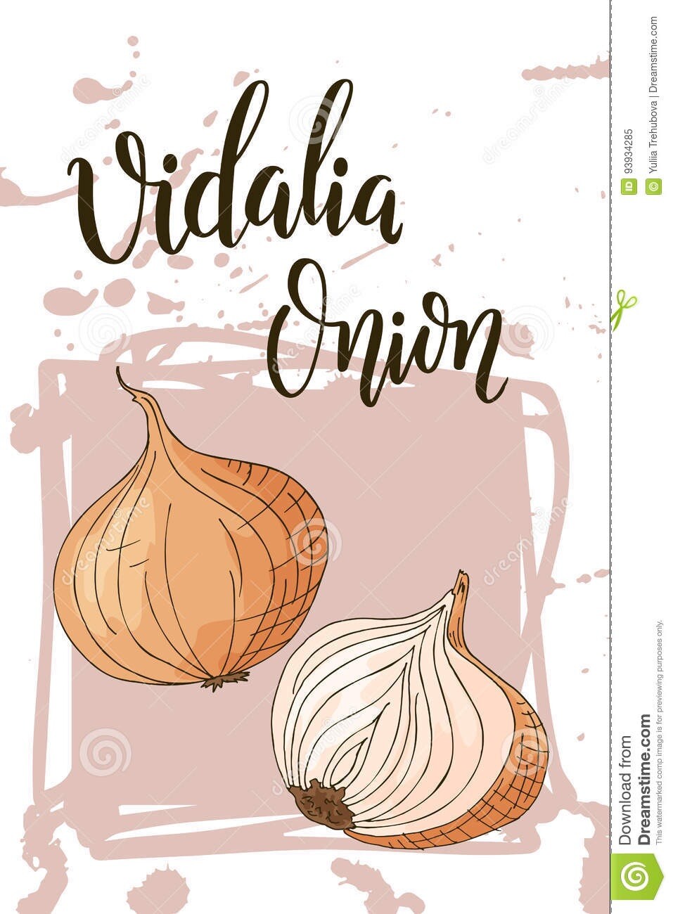 250 Treated Vidalia Sweet Onion Seeds Non-GMO Heirloom Free Shipping