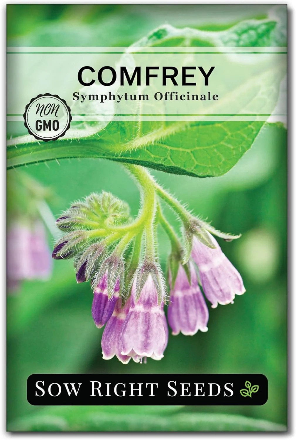 Sow Right Seeds – Comfrey Seeds for Planting – Non-GMO Heirloom – High-Yield Com