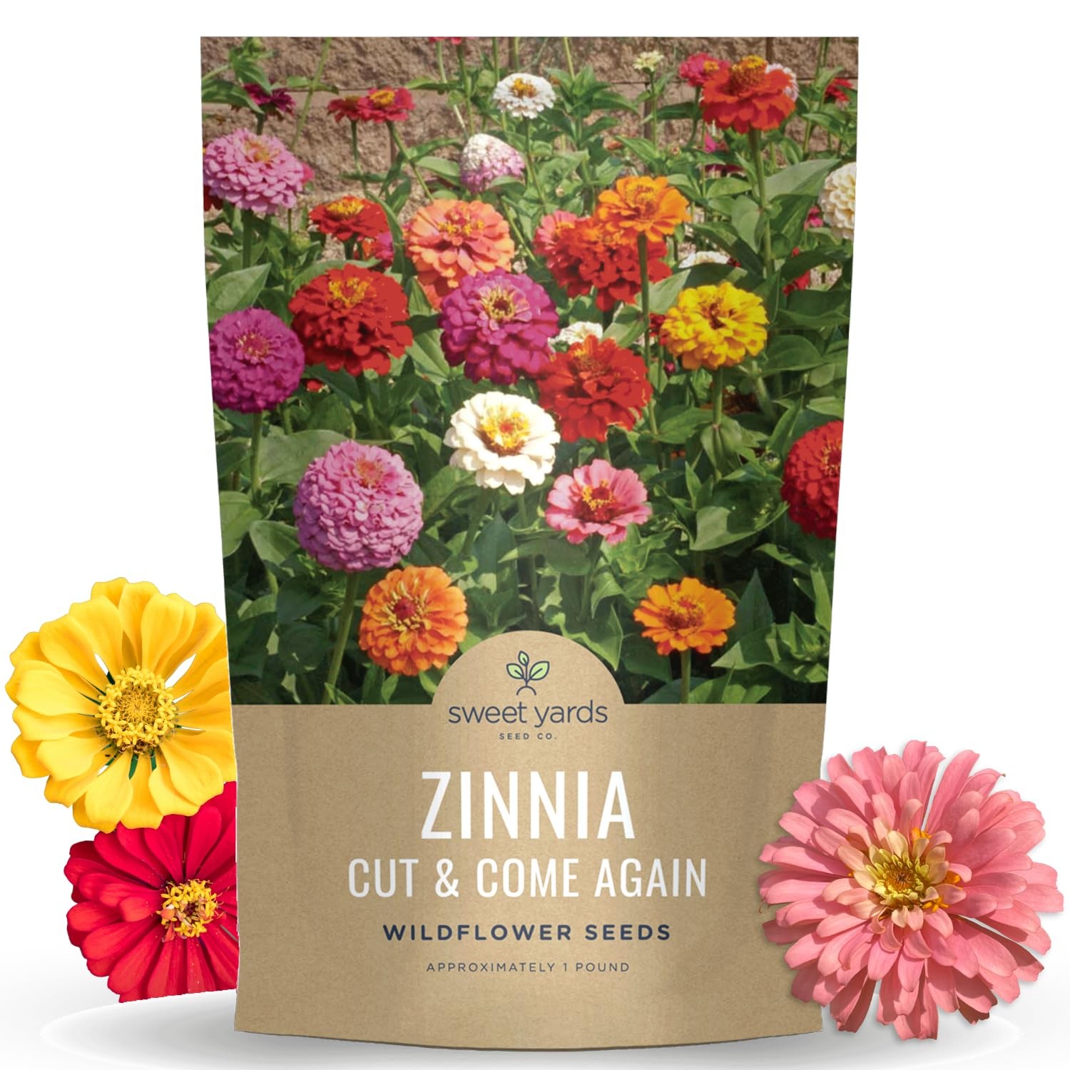 Zinnia Cut & Come Again Mix – Bulk 1 Pound Pouch – 60,000 1 Pound, Mixed