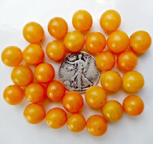 Gold Rush – Tiny Salad Variety – 50 Seeds – Buy any 3 or more varieties, 20% off