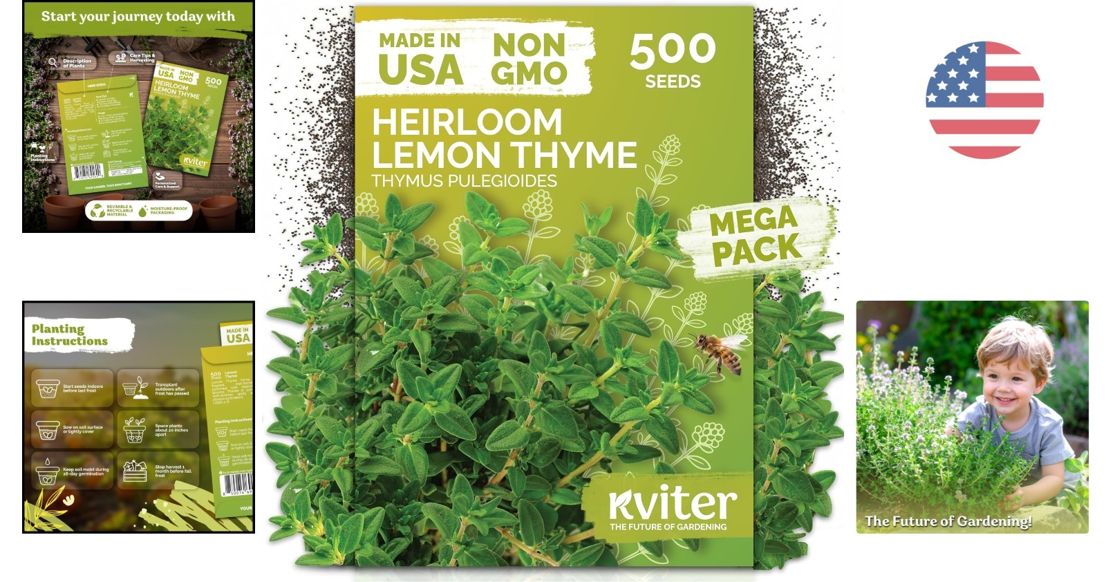 High Germination Lemon Thyme Seeds for Easy Outdoor Herb Gardens – 500 Count