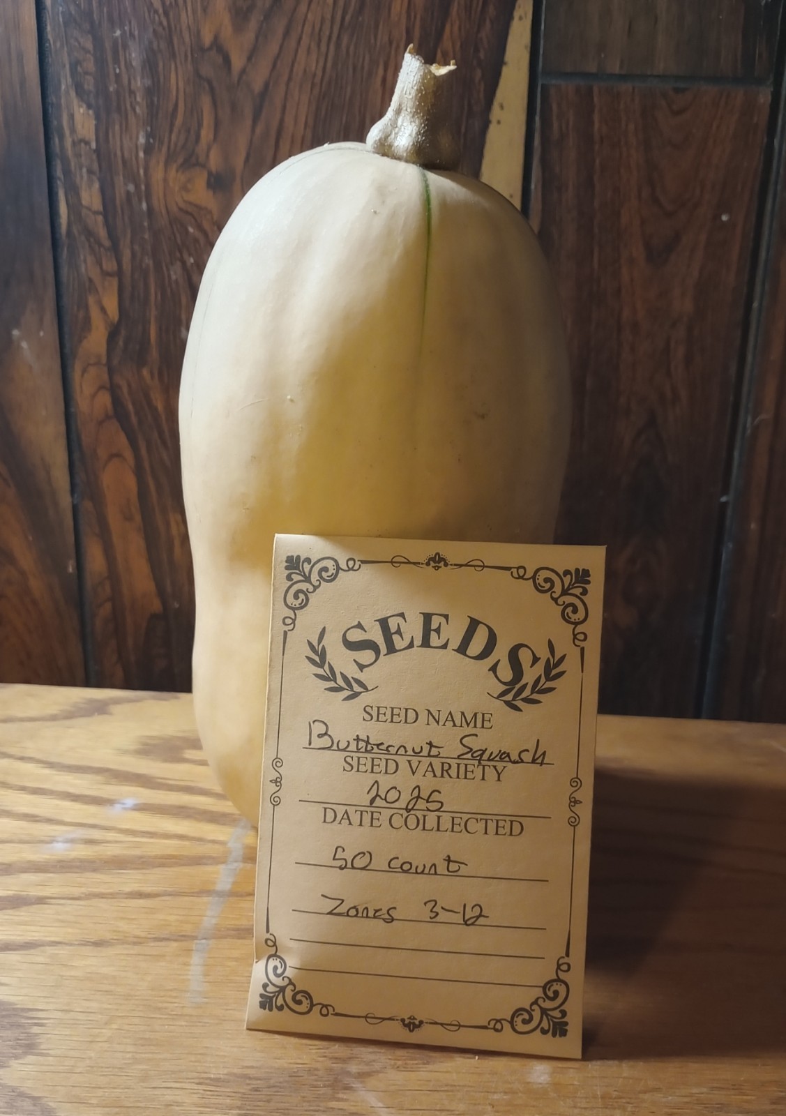 Butternut Squash Seeds 50 ct Collected 2025 Zones 3-12