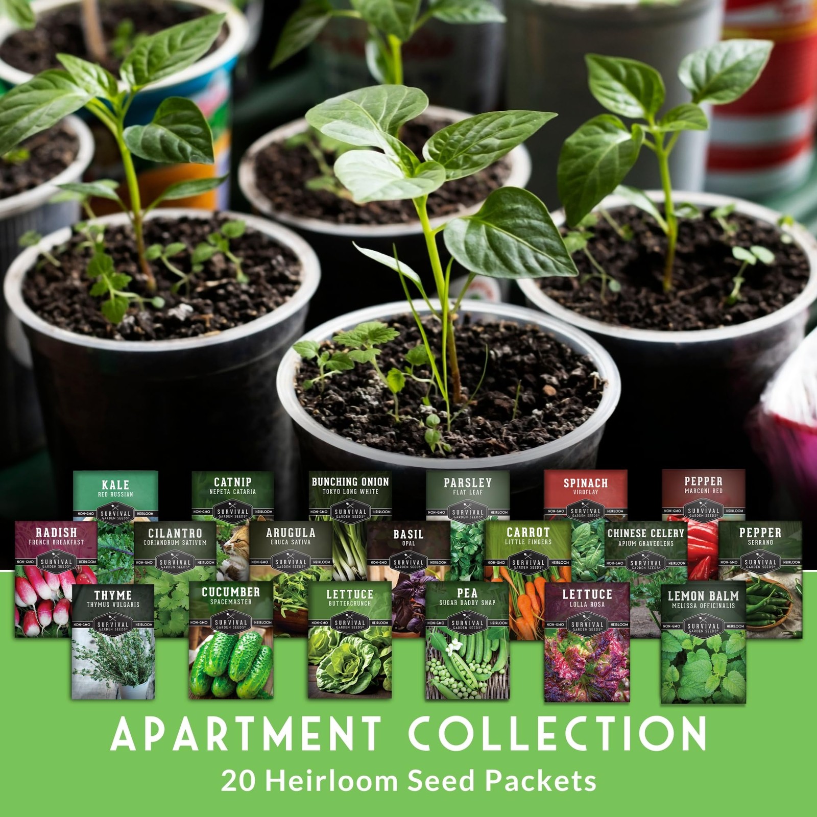 Hydroponic & Indoor Garden Kit – 20 Compact Heirloom Vegetable & Herb Varieti…
