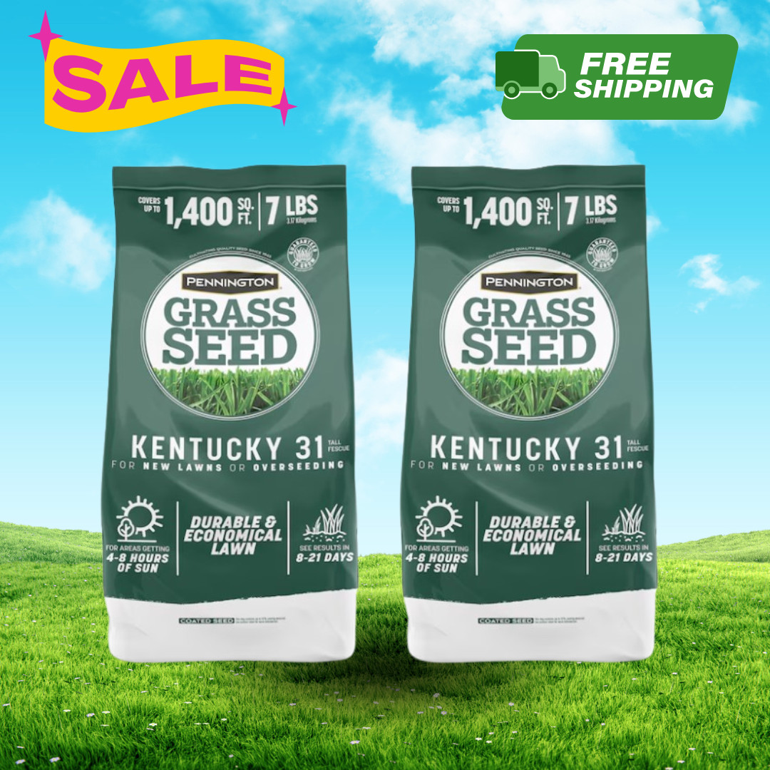 [HOT SALE] Pennington Kentucky 31 Tall Fescue Grass Seed 7 lb Bag (2 Pack) Lawn