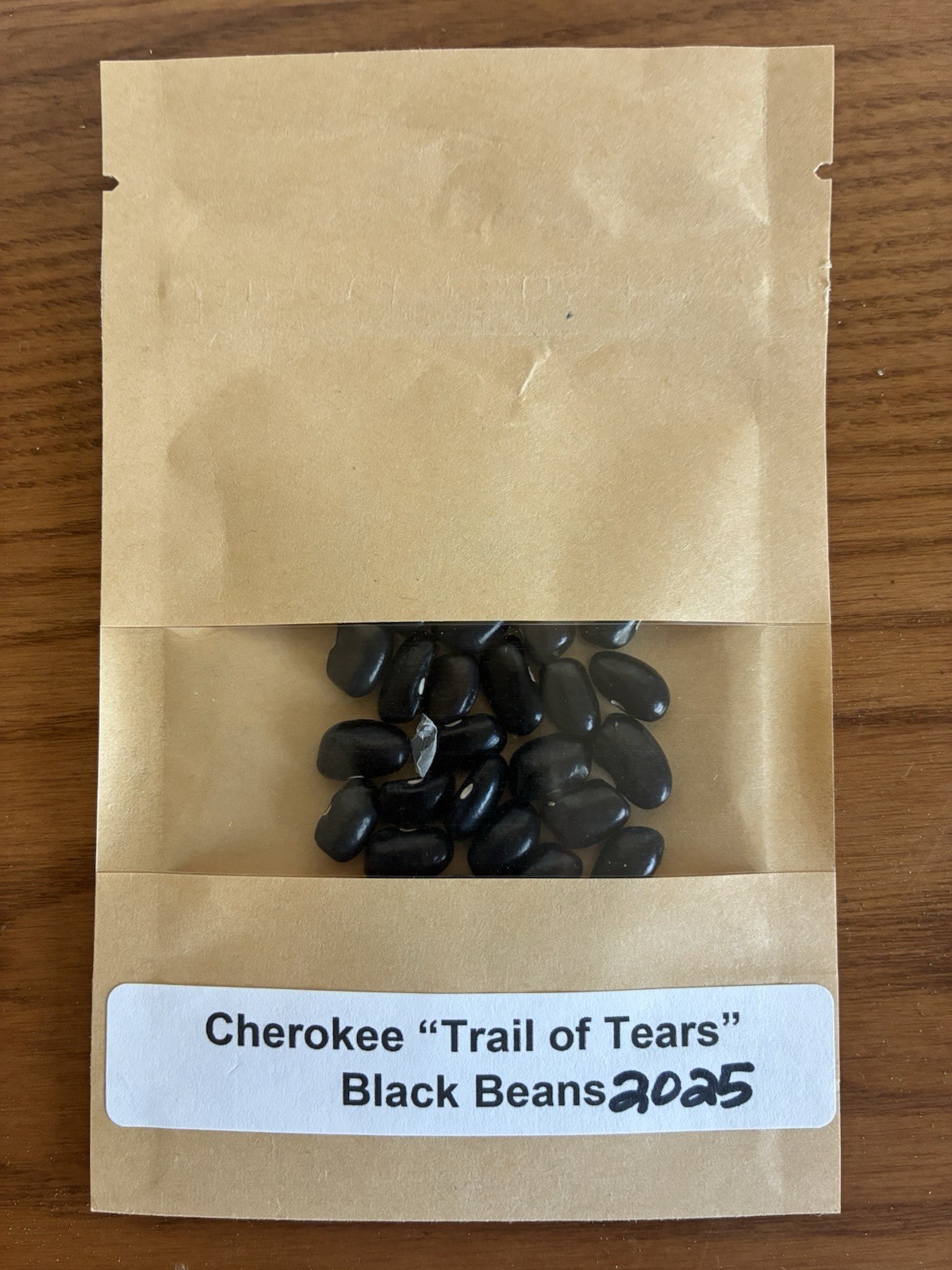 Cherokee Trail Of Tears Black Bean Seeds Hand Harvested Spray Free