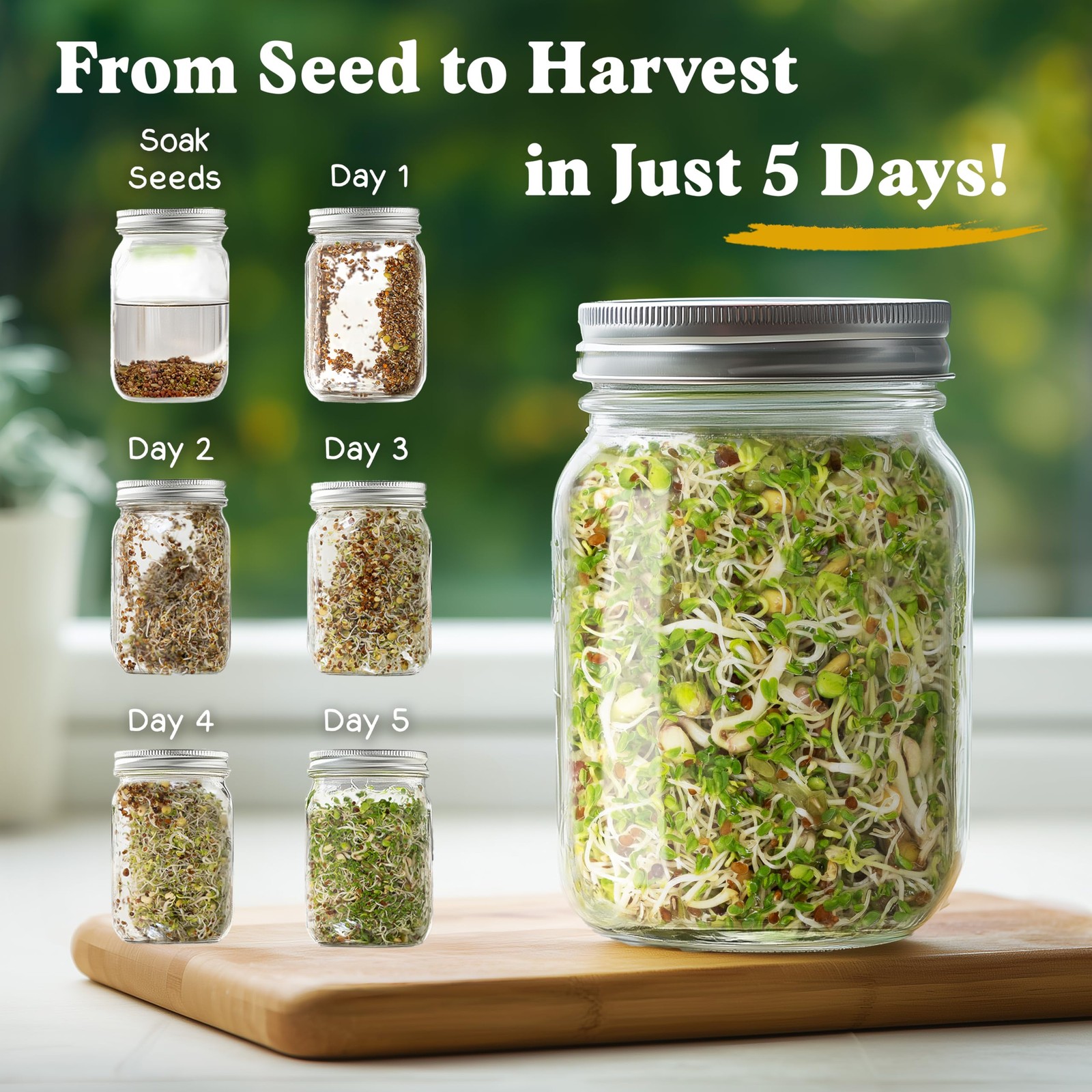 Organic Non-GMO Sprouting Seeds, Fresh Salad Blend – USA Grown Microgreens Mi…