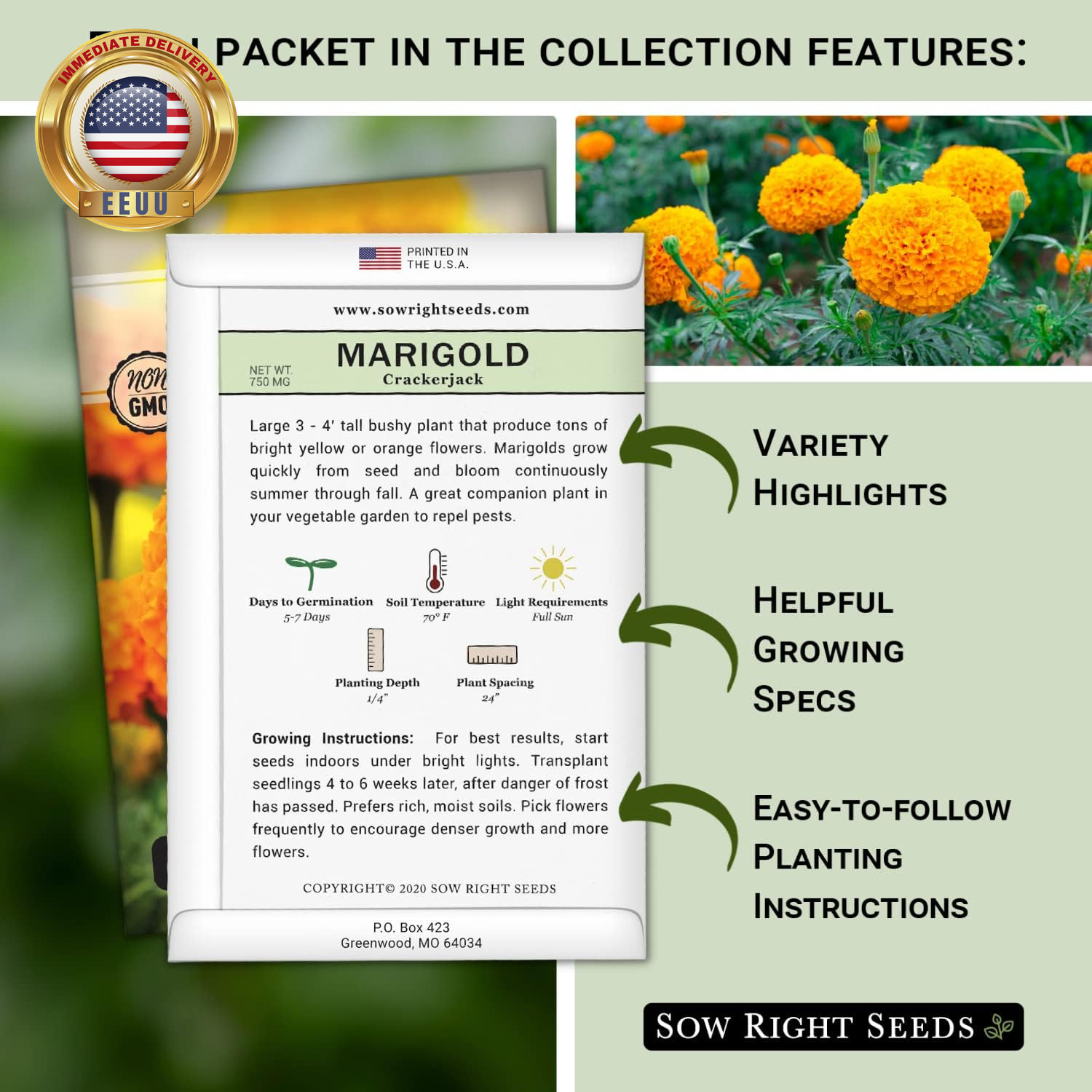– Annual Flower Seed Garden Collection for Planting – 5 Packets Includes Marigol