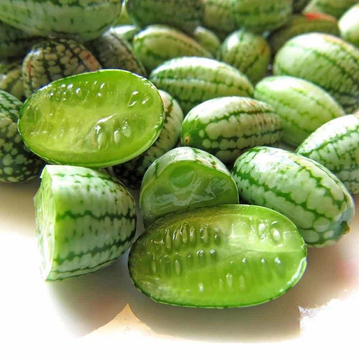 NEW! 25+ MOUSE MELON / CUCAMELON /MELOTRIA SCABRA / TASTY FRUITS