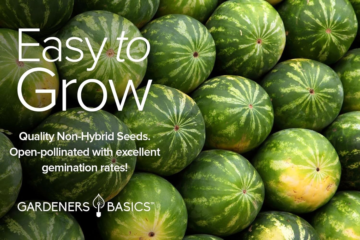 Melon Fruit Seeds for Planting Home Garden 5 Variety Packs – Hales Best Canta…