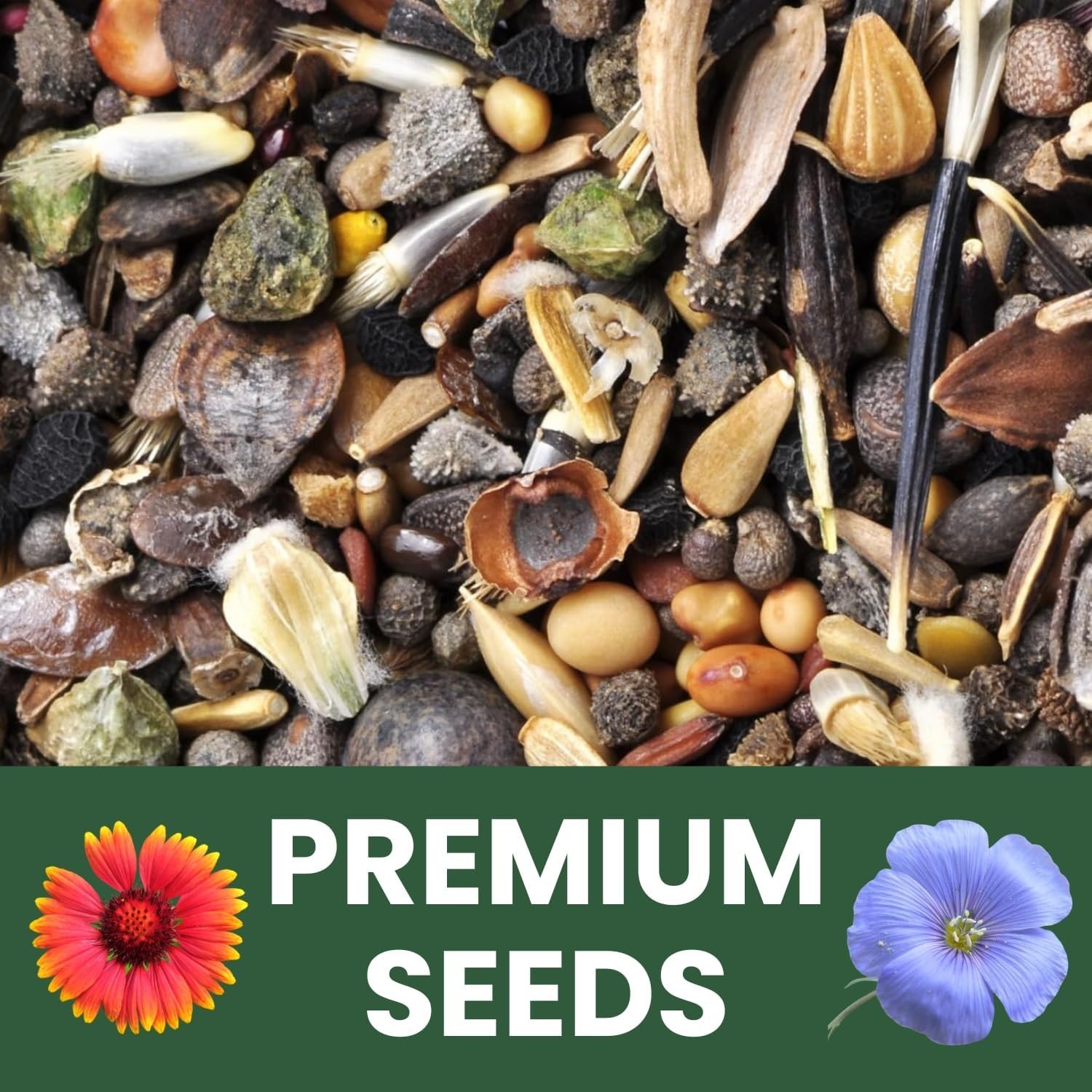 Midwest Regional Mix – 2,500 Seeds for Planting – 2026 Season – 5 Gram Pouch