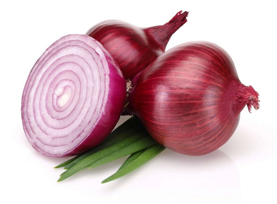 500+ Bermuda Onion Seeds for Garden Planting – USA – FREE SHIPPING!