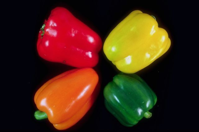 BULK * 300 SEEDS * SWEETEST RED,YELLOW,GREEN,ORANGE BELL PEPPER SEEDS