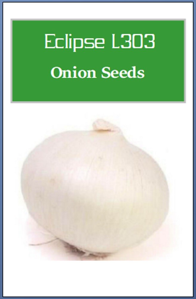 Eclipse L303 Onion Seeds | NON-GMO | Heirloom | Fresh Garden Seeds