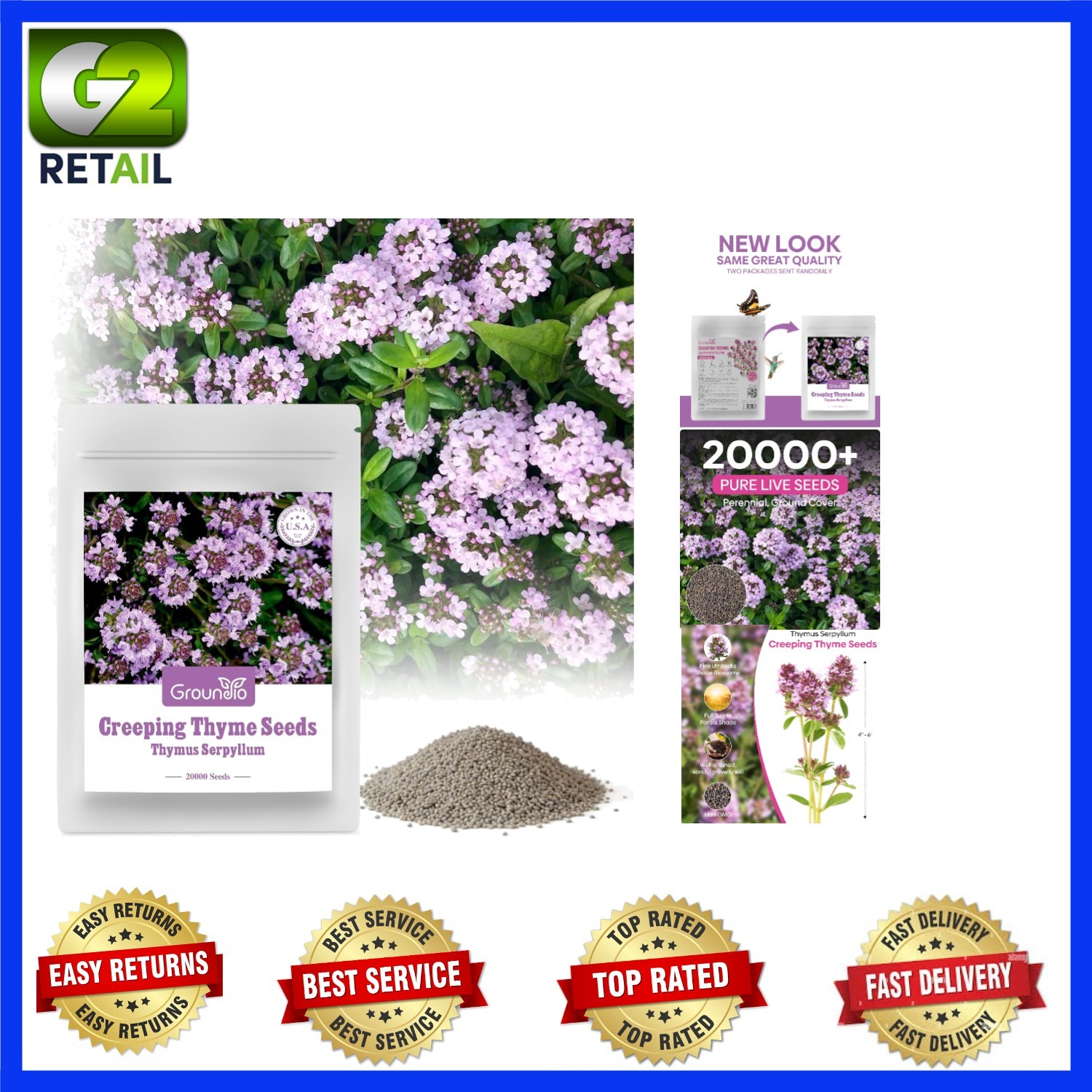 Attract Pollinators with 20000+ Creeping Thyme Seeds – Low Maintenance Option