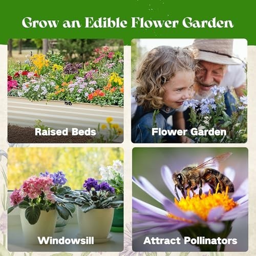 Edible Flower Seed Bank – 30,000+ Non-GMO Heirloom Seeds, Gardening Gift Set, Cu