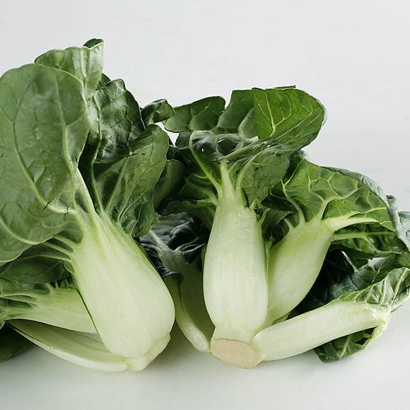 🌱Heirloom Extra Dwarf Bok Choy 50+ Seeds