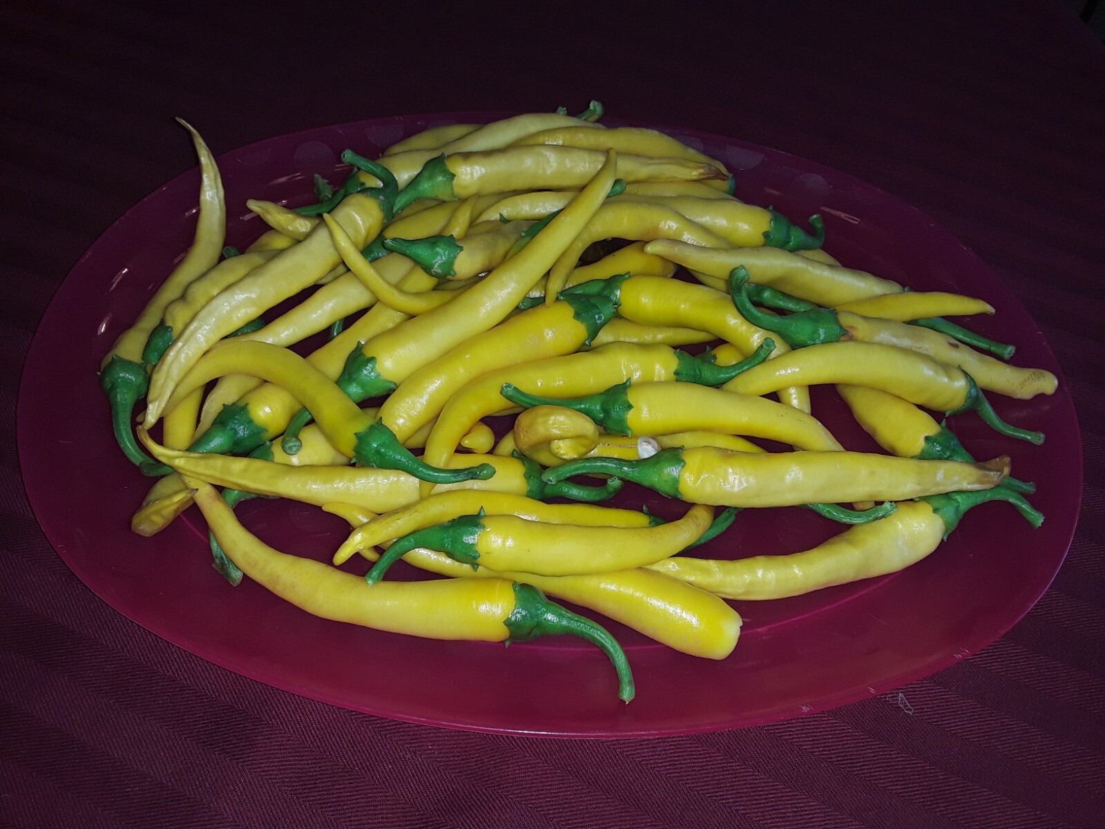 50 Yellow Cayenne pepper seeds Open Pollinated No pesticides or herbicides