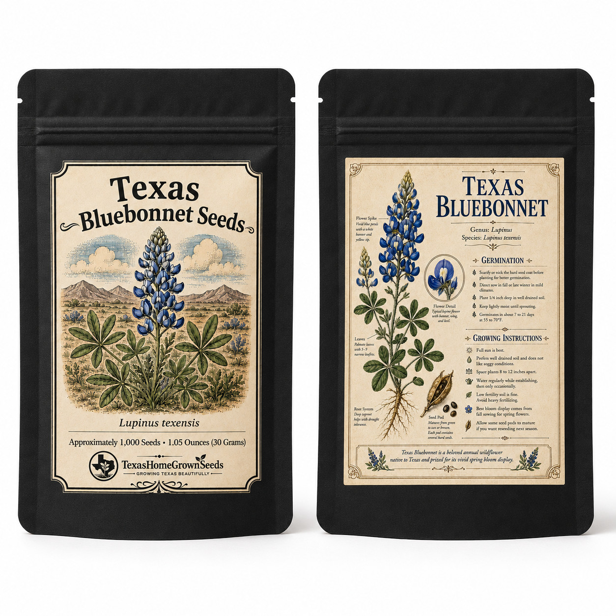 Approx 1,000 Texas Bluebonnet Seeds 1.05 Oz (30g) Stunning Blue Texas Wildflower