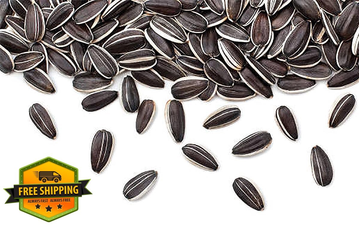 Marde Ross Mammoth Sunflower Seeds