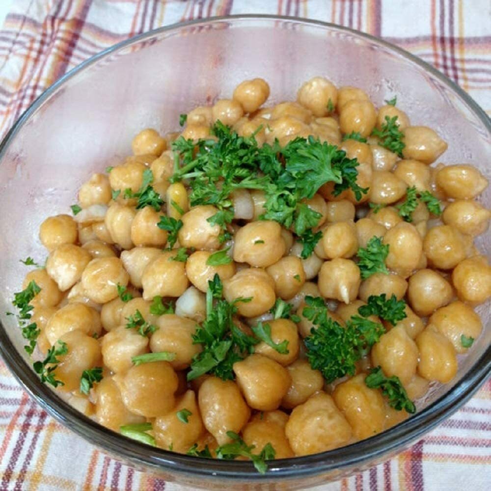 Garbanzo Bean Seeds for Sprouting Microgreens, CCOL BEANS N SPROUTS .