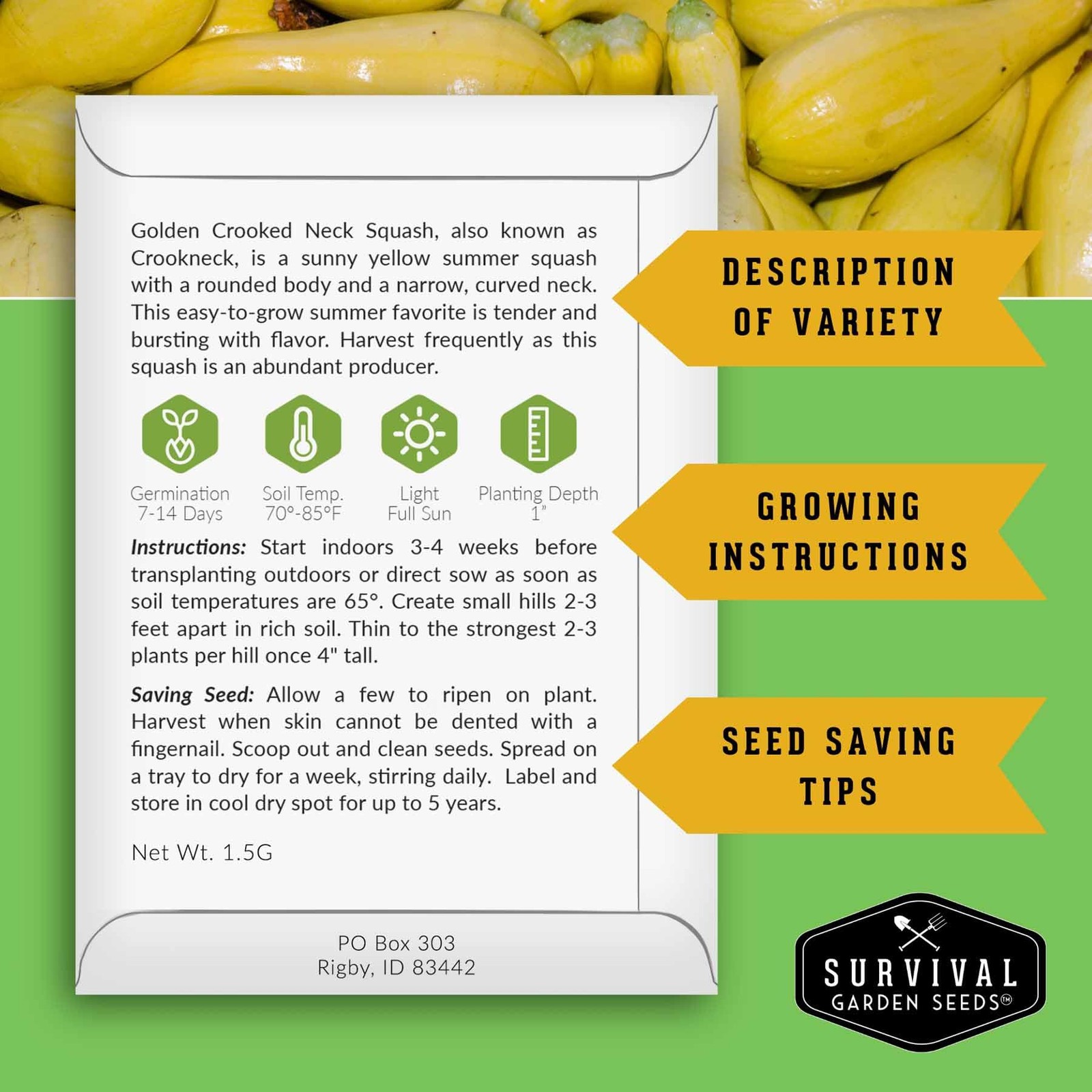 Heirloom Crookneck Squash Seeds NonGMO, FastGrowing, HighYield 5 Packs