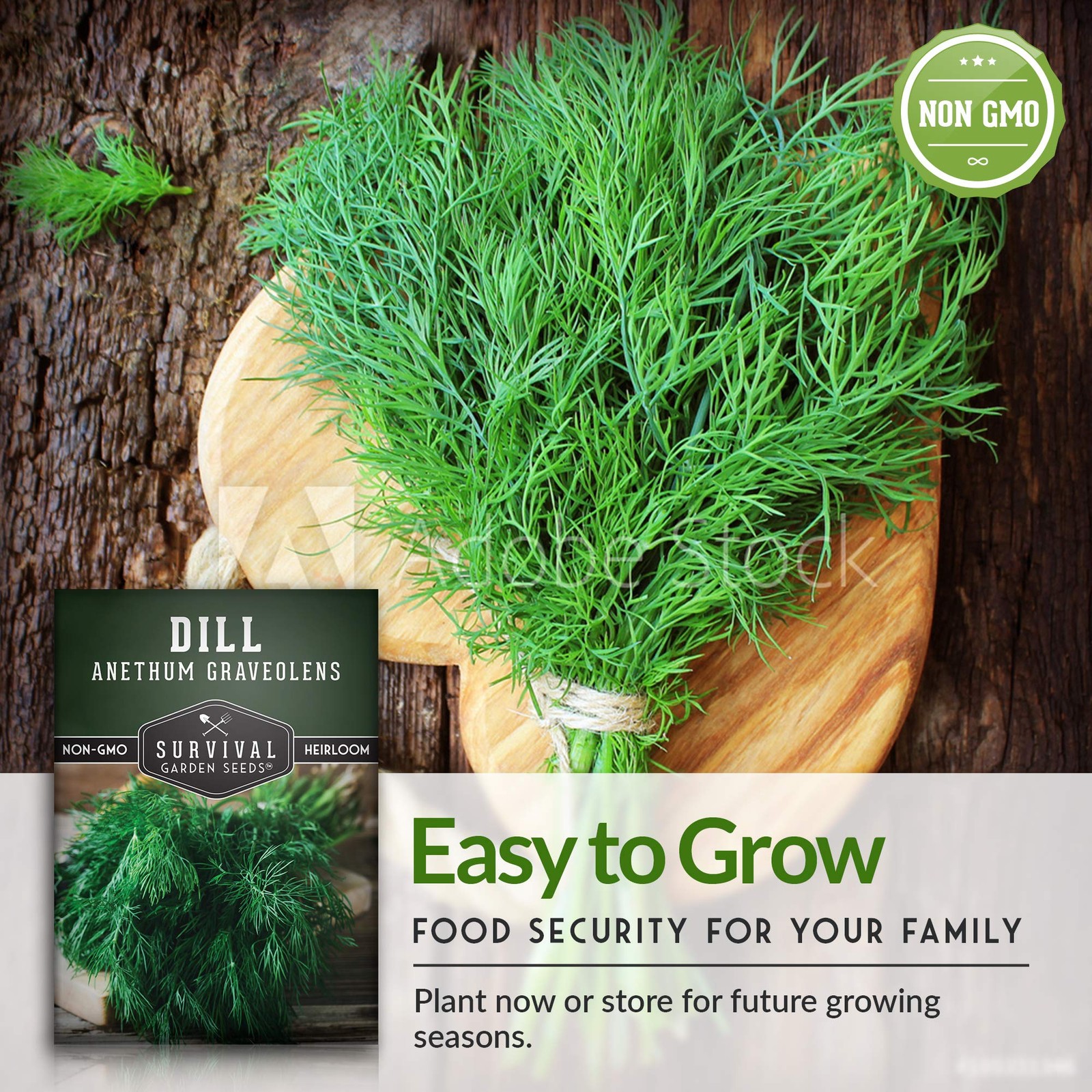 Herb Seeds Variety Pack – 5 Heirloom Kitchen Herbs for Easy Indoor & Outdoor
