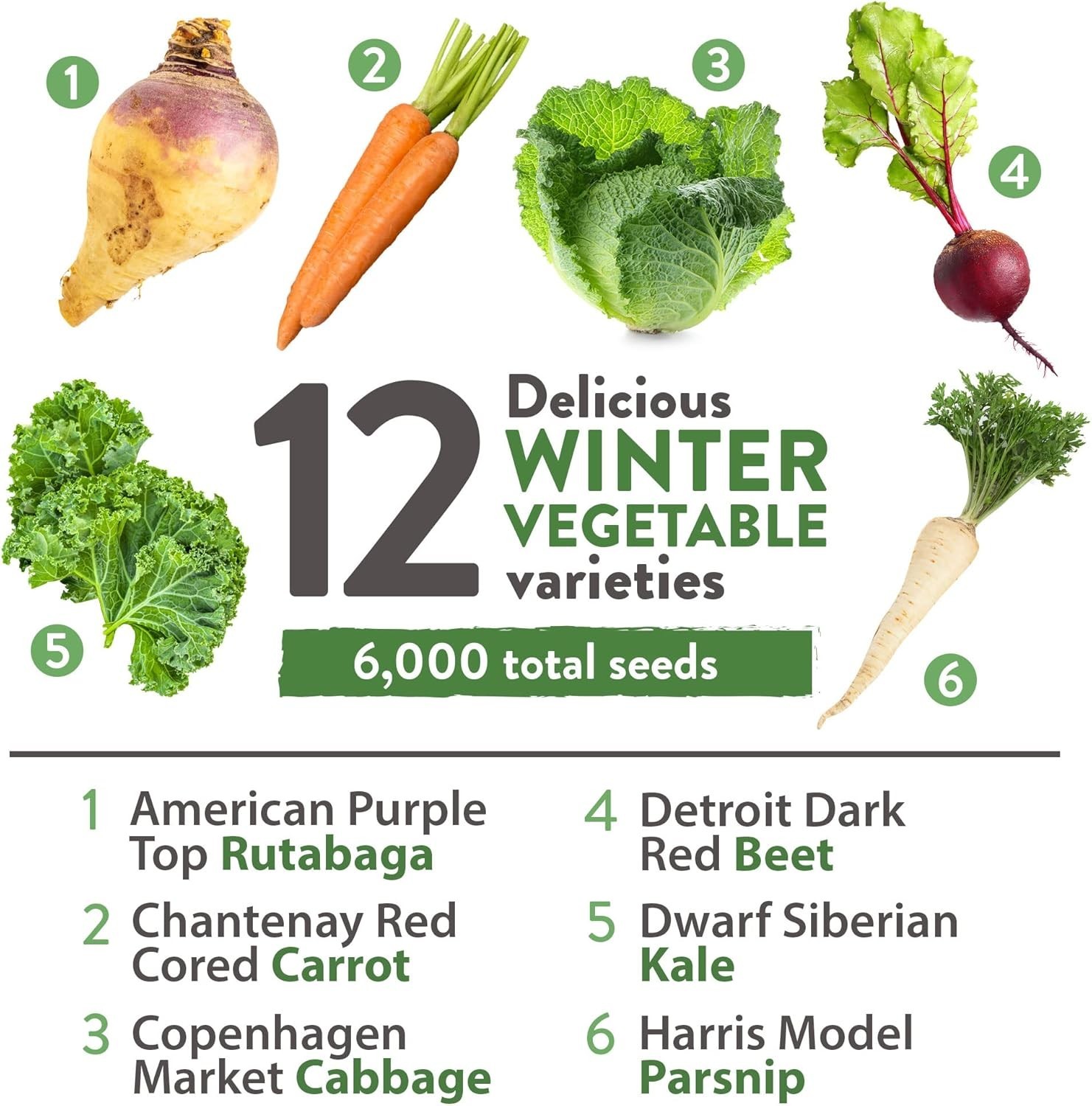 Winter Vegetable Seeds Collection – 12 Organic Heirloom Varieties for Gardeners