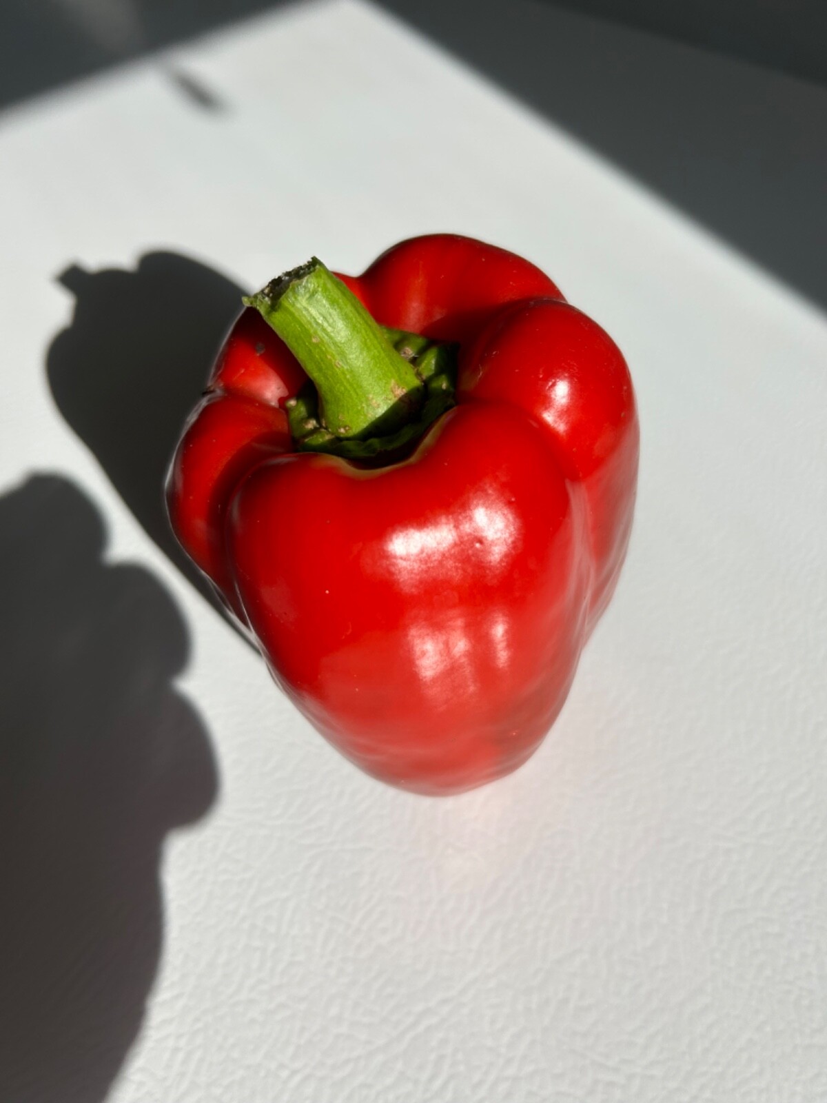 30+ Red Extra Large Bell Pepper Seeds Prolific Heirloom