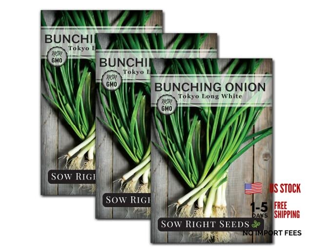 – Tokyo Long White Bunching Onion Seeds for Planting – Perfect for Planting 3