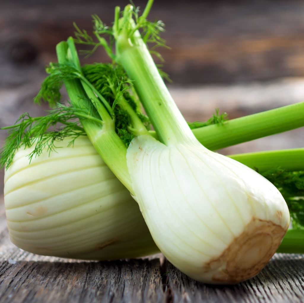 200+ Florence Fennel Seeds