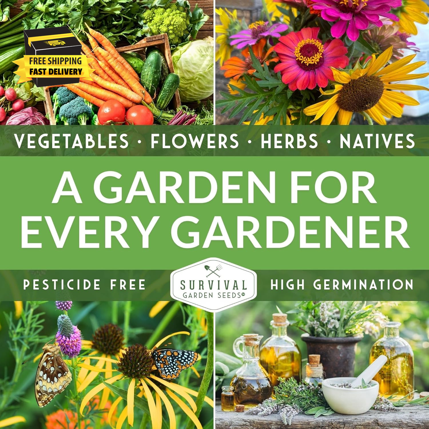 Thai Chili Pepper Seeds for Planting | Bird’S Eye Hot Peppers – Heirloom Non-Gmo