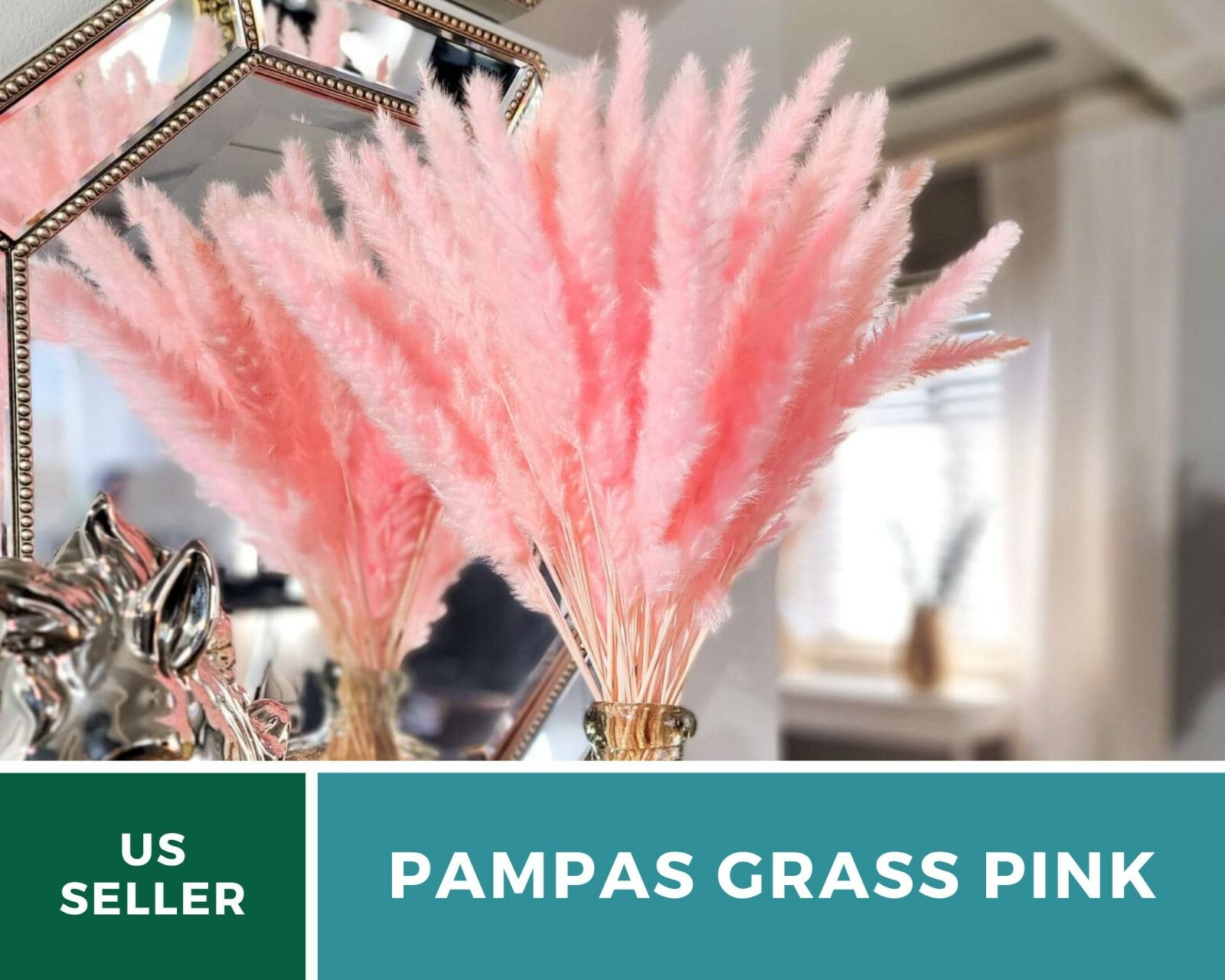 Pampas Grass, Pink – 100 Seeds (Cortaderia selloana)