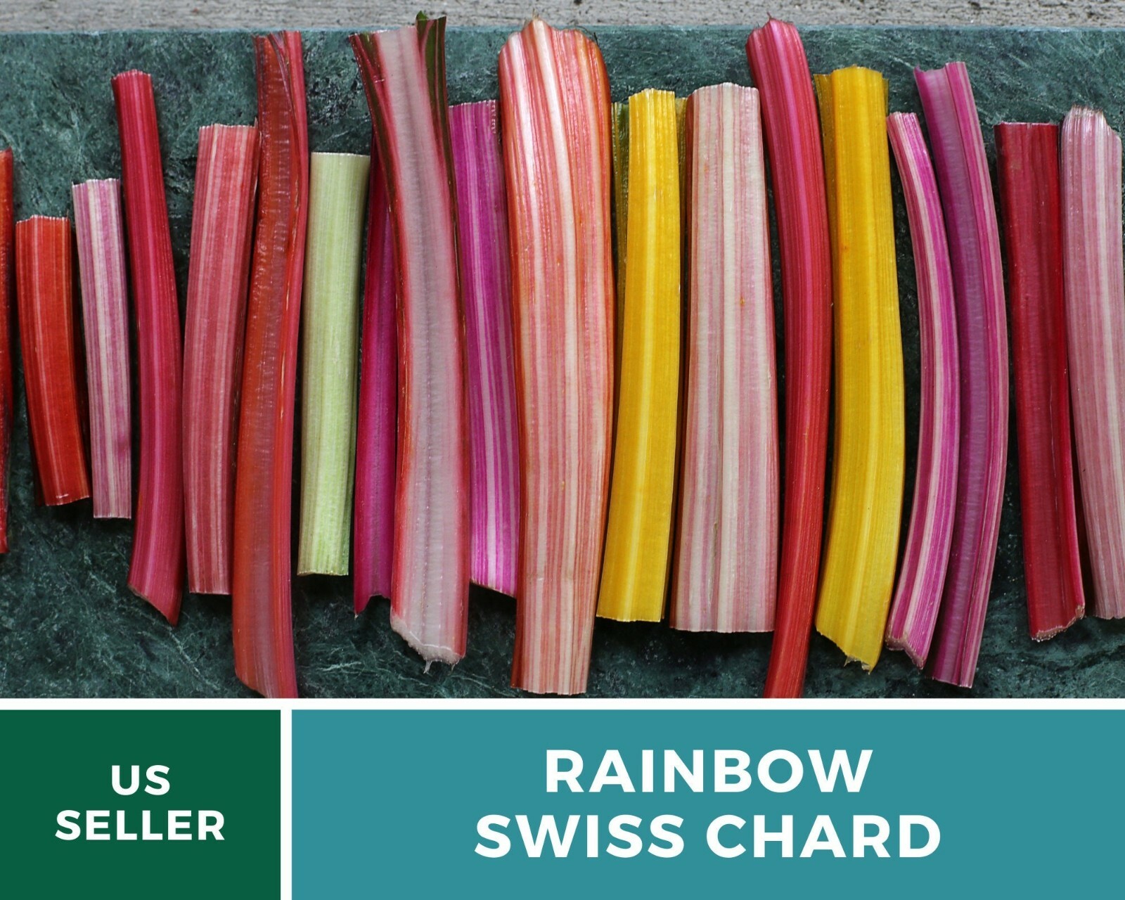 Swiss Chard, Rainbow – Heirloom Seeds – Spring or Fall crop – Non GMO (Beta vulg