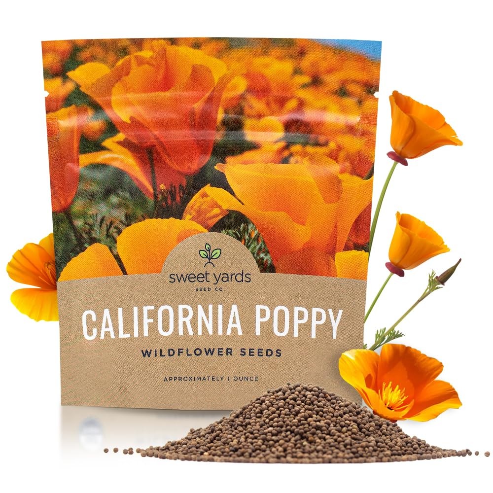 California Orange Poppy Seeds – Bulk 1 Ounce – 20,000+ Native Wildflowers