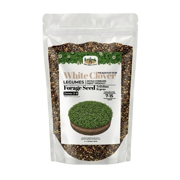 Old Cobblers Farm™ Wicked Tuff Turf White Clover (Legumes) – Green Lawn Cover