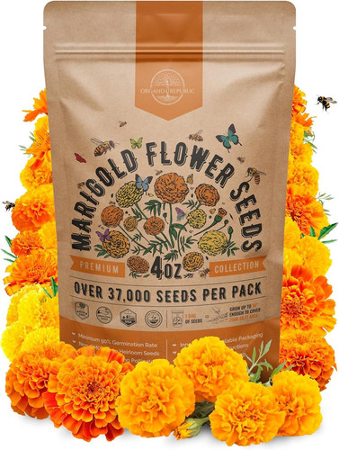 Marigold Seeds Pack 4 oz – Over 37,000 4oz, Orange, Yellow, Red, Green
