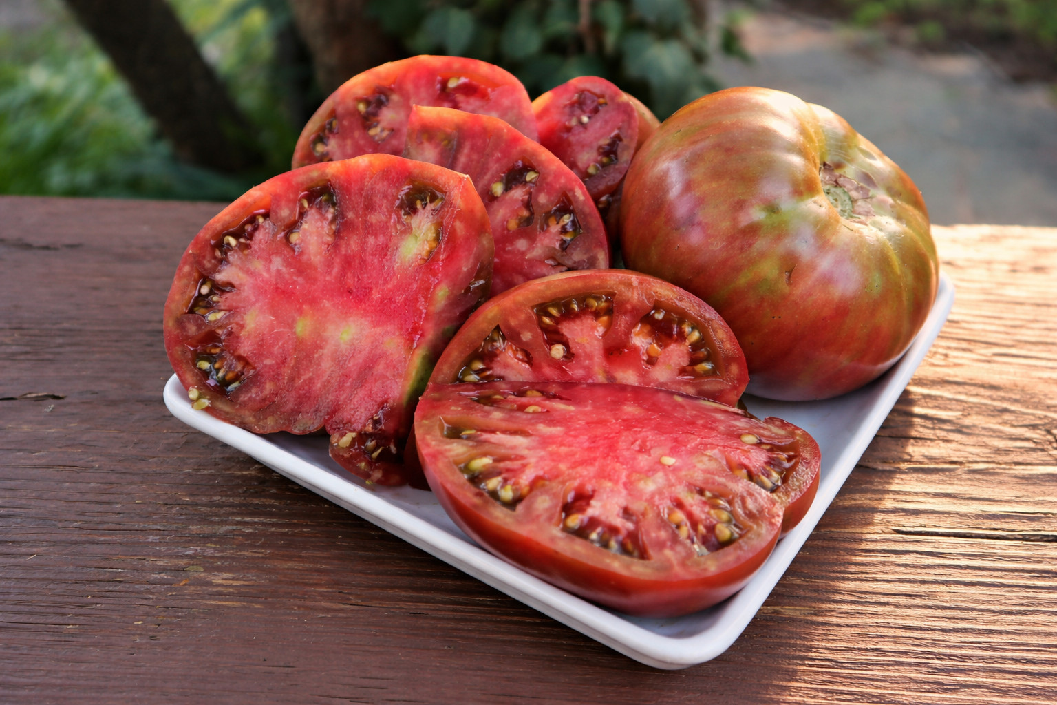80 Heirloom Purple Cherokee Tomato Seeds – NonGMO Free Shipping! Indeterminate