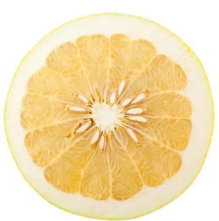 1 Plant Grapefruit 3”-4” Inches Tall