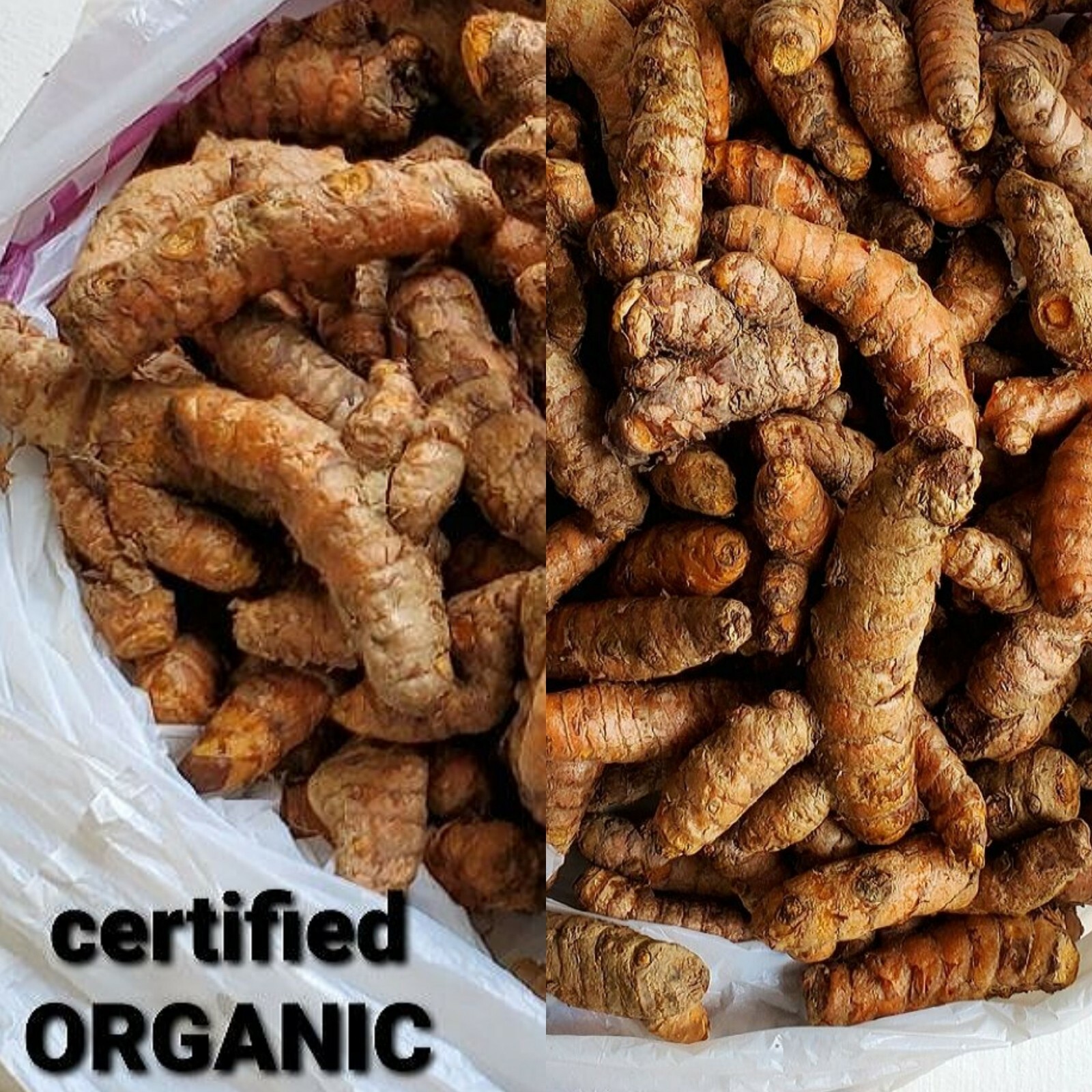 Fresh Turmeric Roots USDA certified Organic 8oz. for Arthritis, FREE SHIPPING
