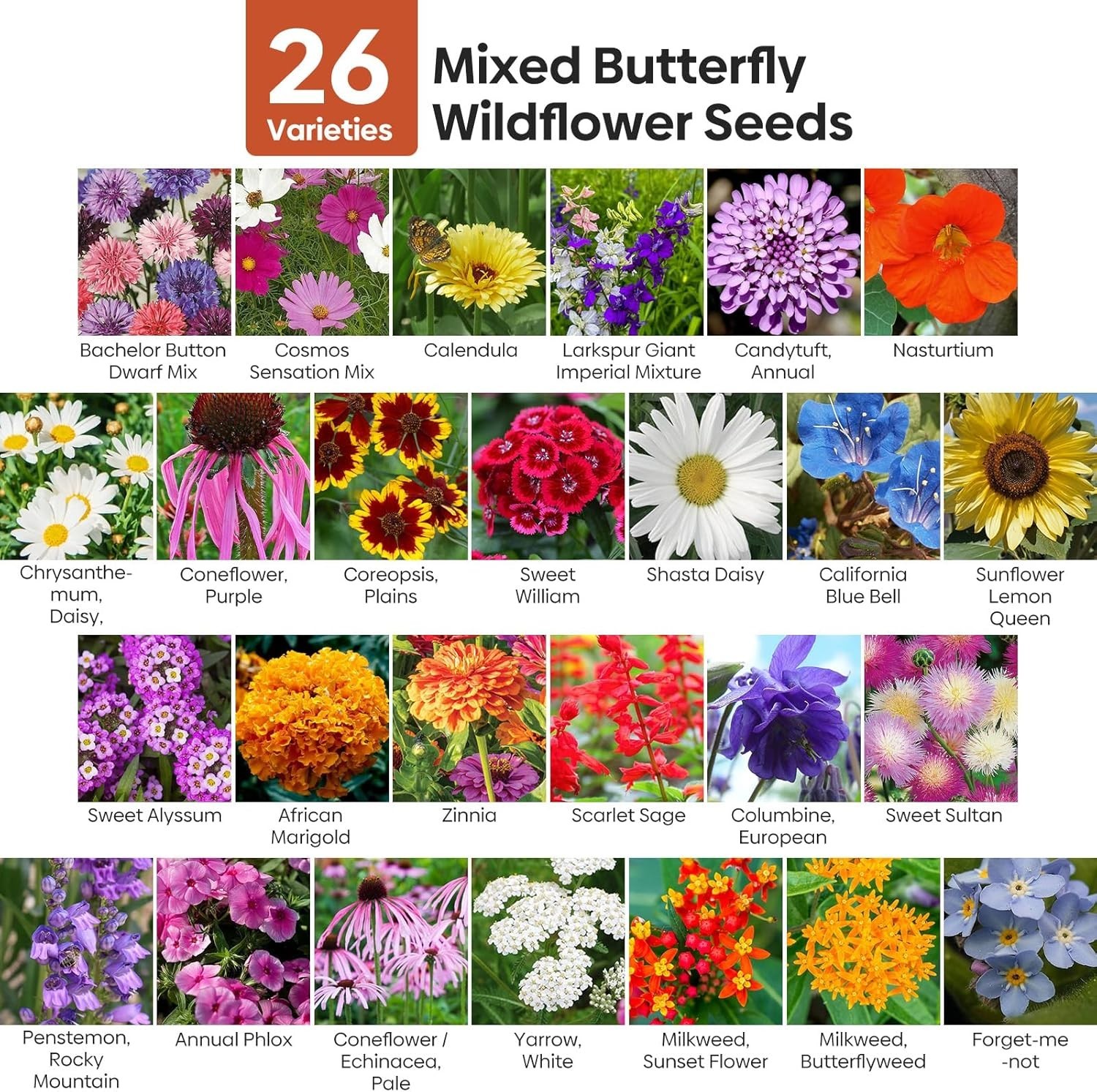 Gift Idea: Wildflower Seeds Bulk – 26 Varieties