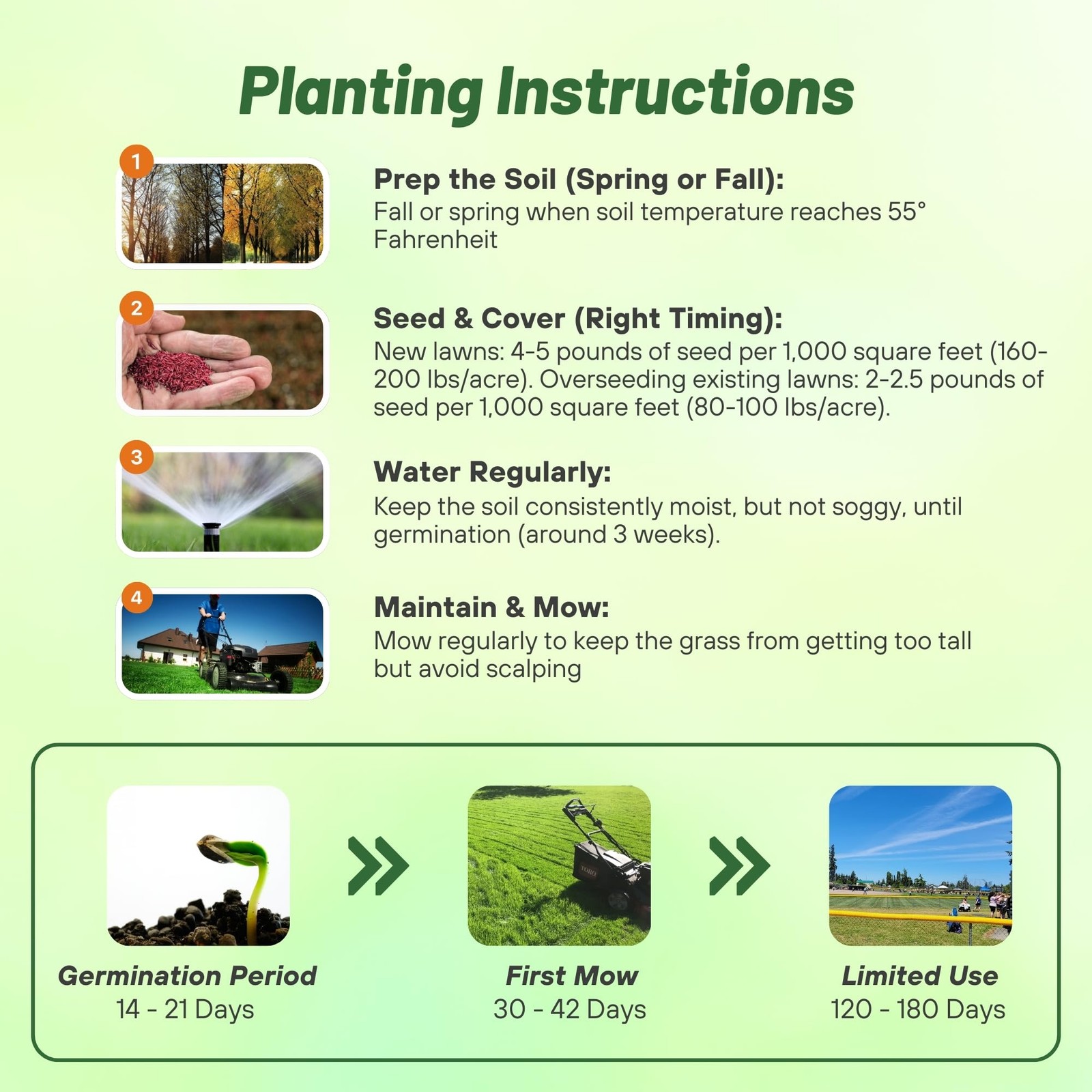 Creeping Red Fescue Grass Seed 10 Lbs. Cool Season, SelfRepairing Lawn Seed
