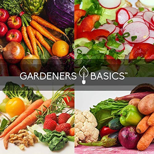 Winter, Fall, and Spring Vegetable Seeds for Planting | Cool Weather Crops |