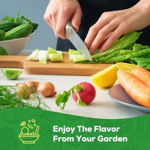 30 Heirloom Vegetable Seeds for Planting, 12,000+ Garden Seeds