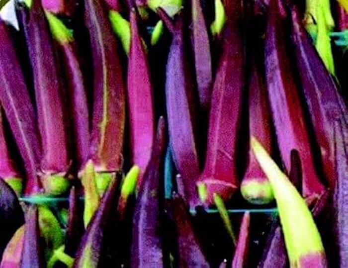 100+ Red Burgundy Okra Seeds| Đậu Bắp |Organic , 2024 Season , 90% germinate