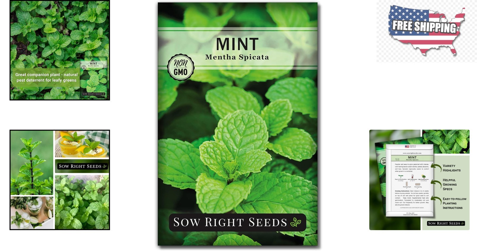 Sustainable Mint Seeds – Non-GMO Heirloom Variety for Flavorful Cooking & Tea